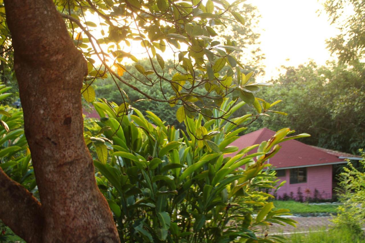 Winika Alterra Villa Palenque Exterior photo
